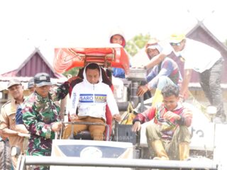 Sawah Baru Sidrap Cetak Prestasi, Hasil Panen 7,2 Ton per Hektare Dorong Lumbung Pangan Nasional