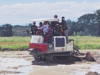 Aksi Unik Bupati Sidrap, Ajak Anak-Anak Belajar Operasikan Alsintan di Sawah Mojong