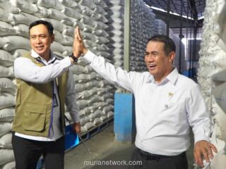 Stok Beras RI Cetak Rekor 5 Juta Ton, Serapan Petani Dorong Lonjakan