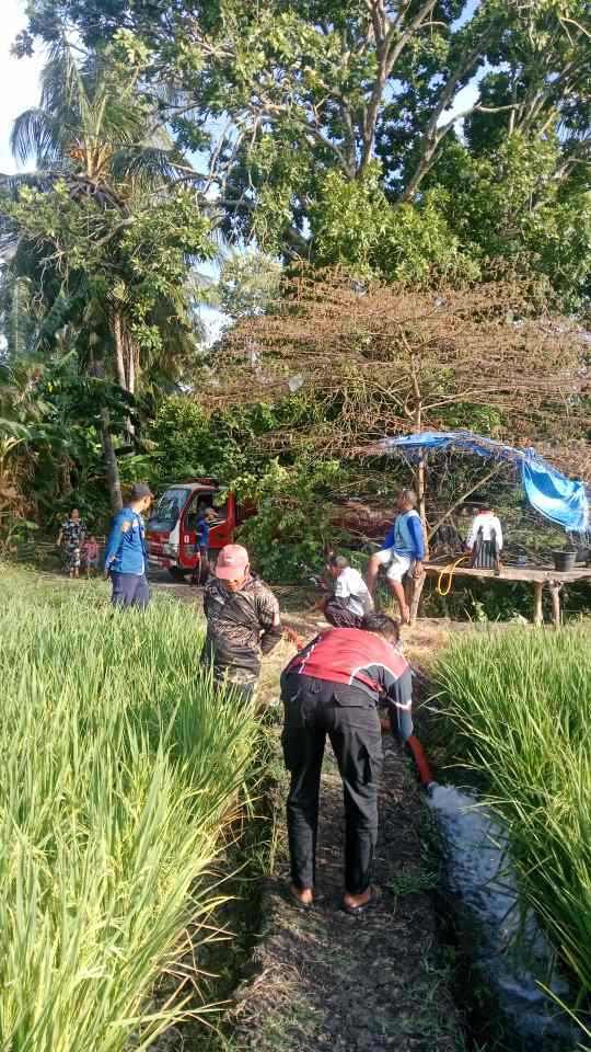 Mobil Damkar Sidrap Tak Hanya Padamkan Api, Kini Selamatkan Sawah Petani di Sidrap