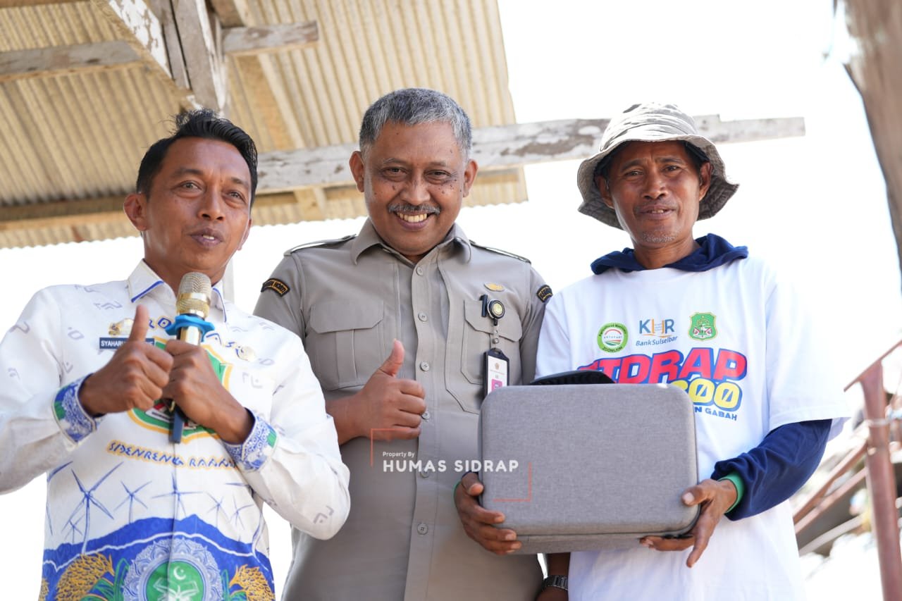 Panen PM-AAS Sidrap Lampaui Target, Produktivitas Capai 11 Ton per Hektare