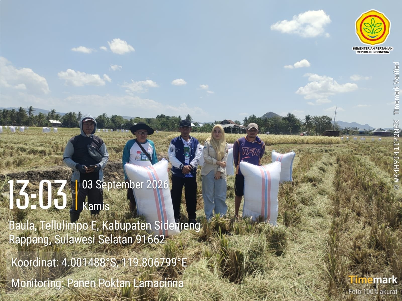 Lurah Baula Cek Langsung Panen Padi, Pastikan Petani Tetap Produktif di Musim Kemarau